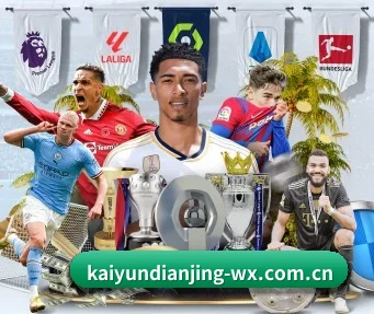 开云电竞 APP(Kaiyun Esport)